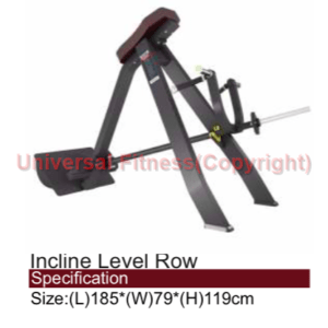 Incline Level Row