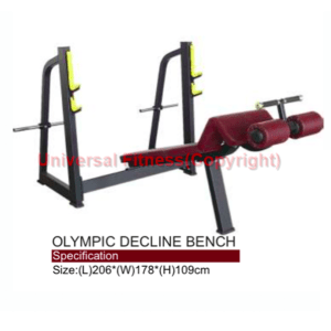 Olympic Decline Bench