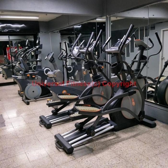 gym equipments wholesale market